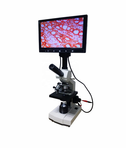 Microscope with 10 inch LCD display TV200 Questions & Answers